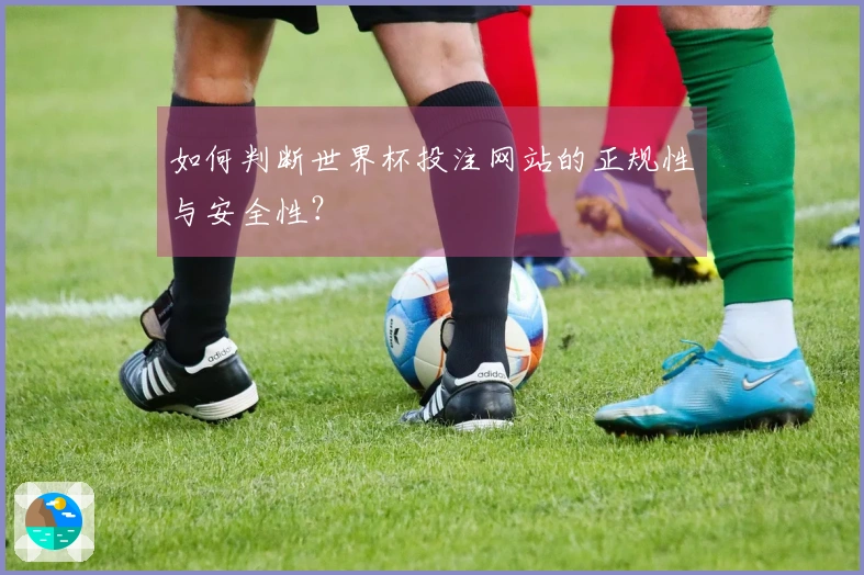 如何判断世界杯投注网站的正规性与安全性？