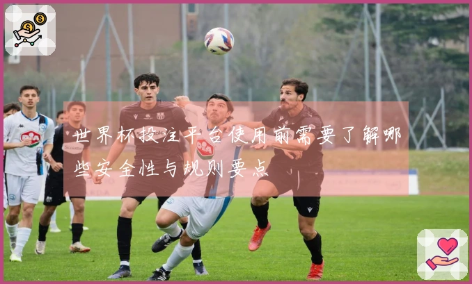 世界杯投注平台使用前需要了解哪些安全性与规则要点